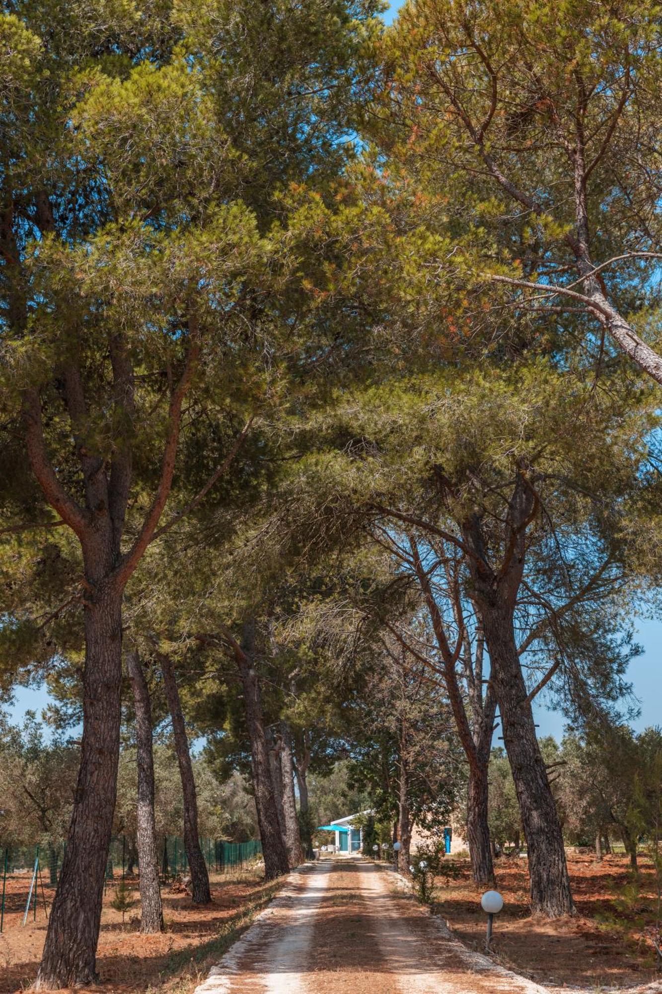 Appartamento Trullo Tarantini con piscina privata Latiano Esterno foto