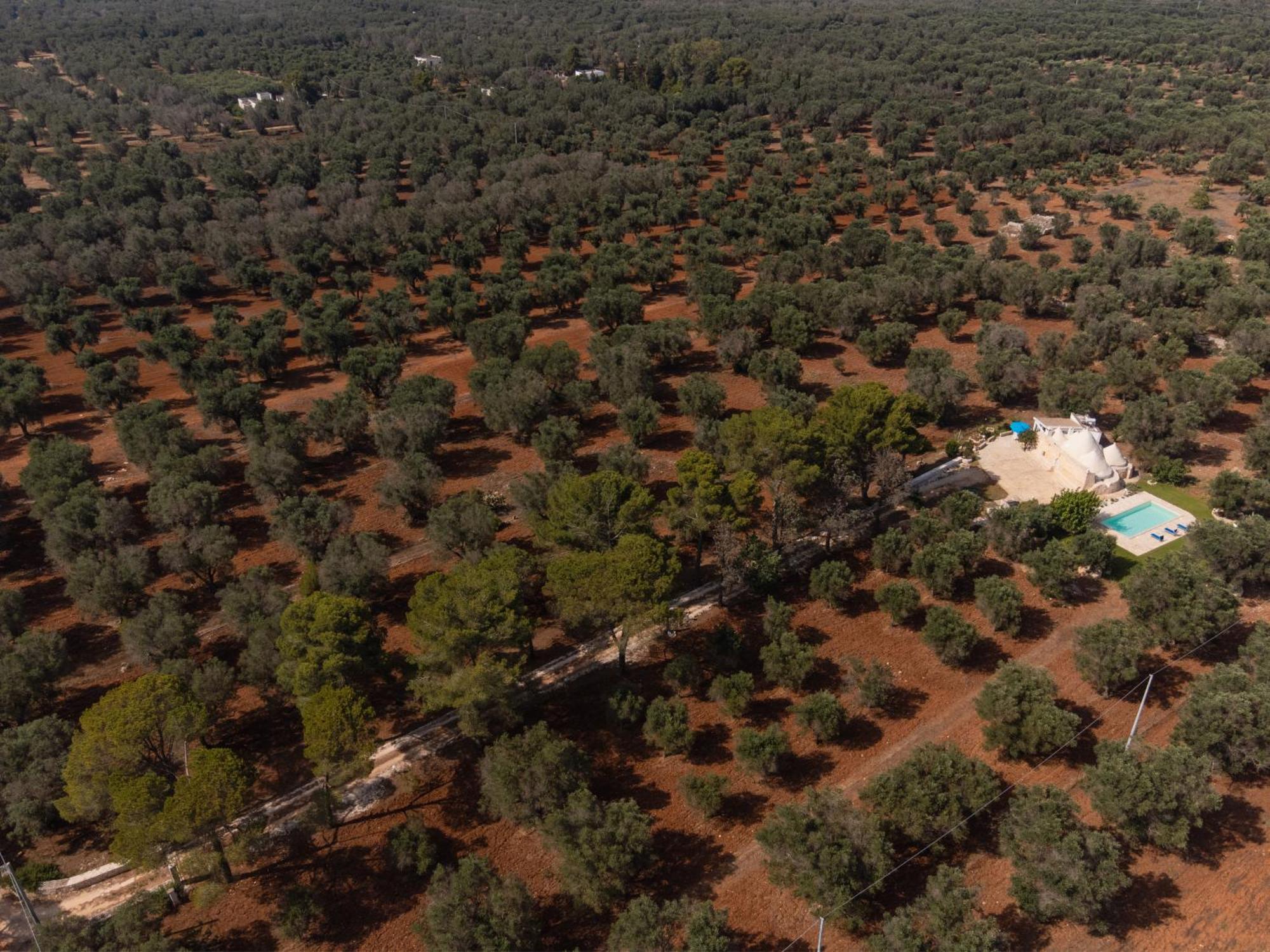 Appartamento Trullo Tarantini con piscina privata Latiano Esterno foto